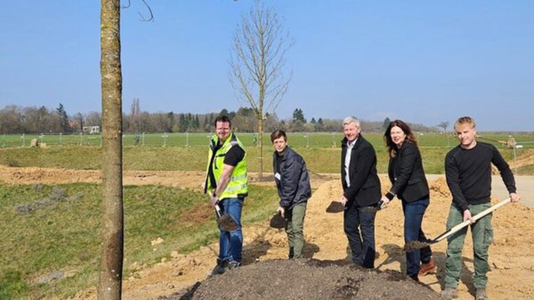 Bierstadt Nord erhält 83 neue Bäume und zentrale Grünanlage auf 2,8 Hektar