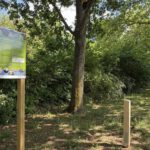 Parcours für Nistplätze macht Quartiere in Mainz-Mombach sichtbar