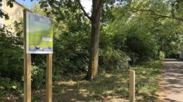 Parcours für Nistplätze macht Quartiere in Mainz-Mombach sichtbar
