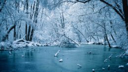 Wiesbaden warnt: Betreten von Eisflächen kann lebensgefährlich sein