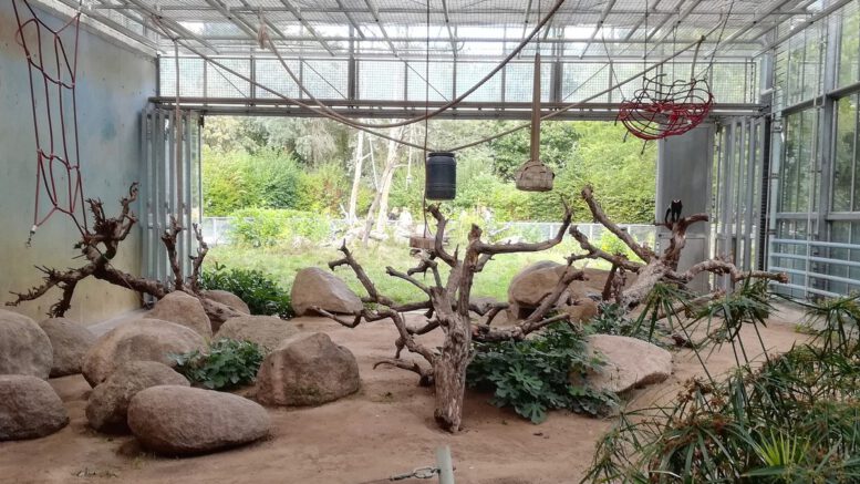 Zooführung in Mainz erklärt, wie Tiere den Winter bewältigen Zooführung in Mainz erklärt, wie Tiere den Winter bewältigen