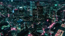 Zuviel künstliches Licht beeinträchtigt Tiere, Pflanzen und den Schlafrhythmus